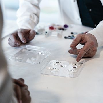 Product demonstration 